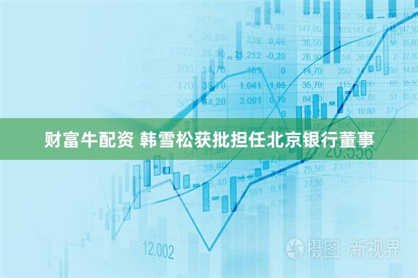 财富牛配资 韩雪松获批担任北京银行董事