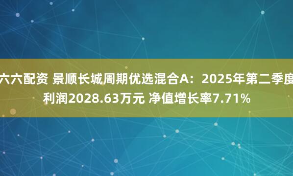 六六配资 景顺长城周期优选混合A：2025年第二季度利润2028.63万元 净值增长率7.71%