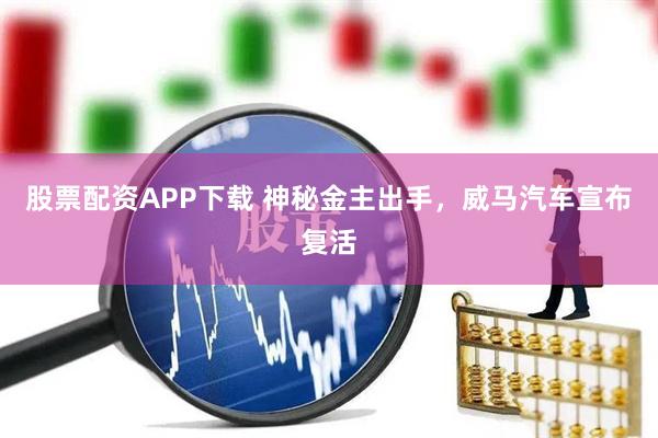 股票配资APP下载 神秘金主出手，威马汽车宣布复活